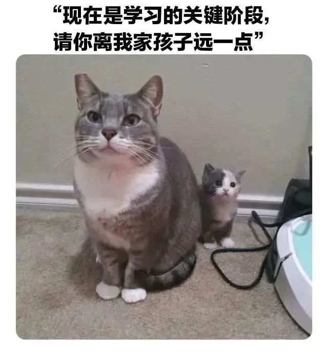 请问这游戏能和朋友开黑吗截图