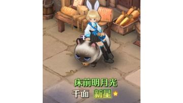 诺恩王国两个隐藏奖励位置