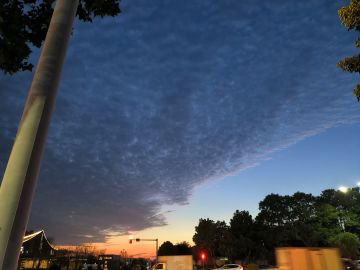 愿你永不失信任与爱的能力