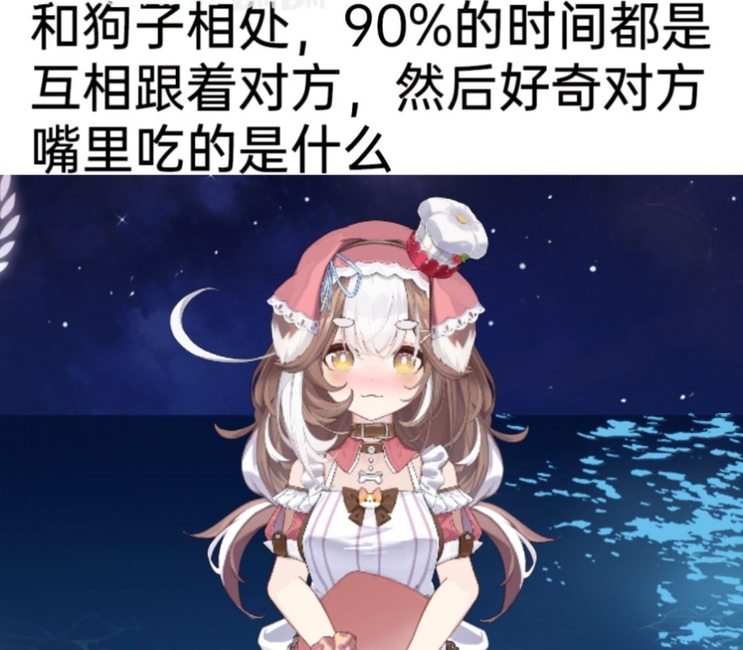 潮汐么么第500期 2