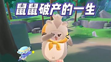 一分钟带你走完鼠鼠破产的一生