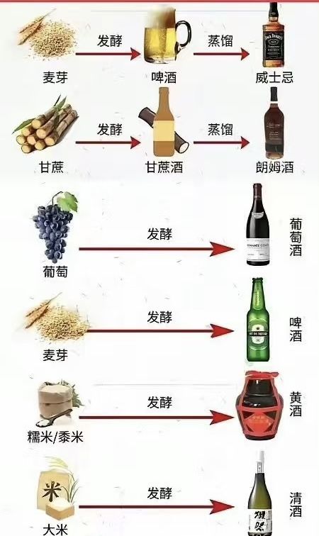 酒科普! 2