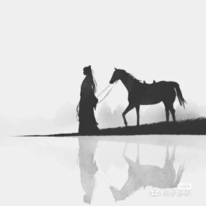 忘忧剑君江湖录 2
