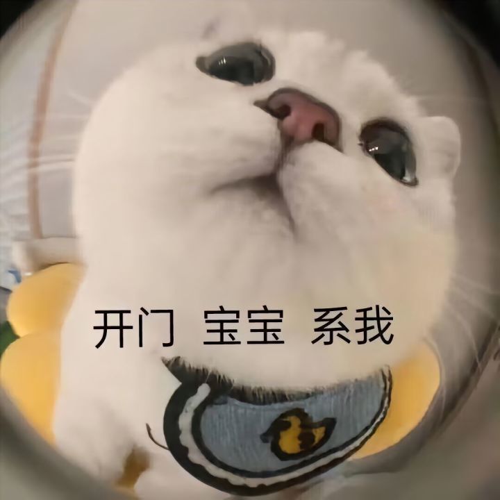 宝藏游戏又又又送皮肤啦截图