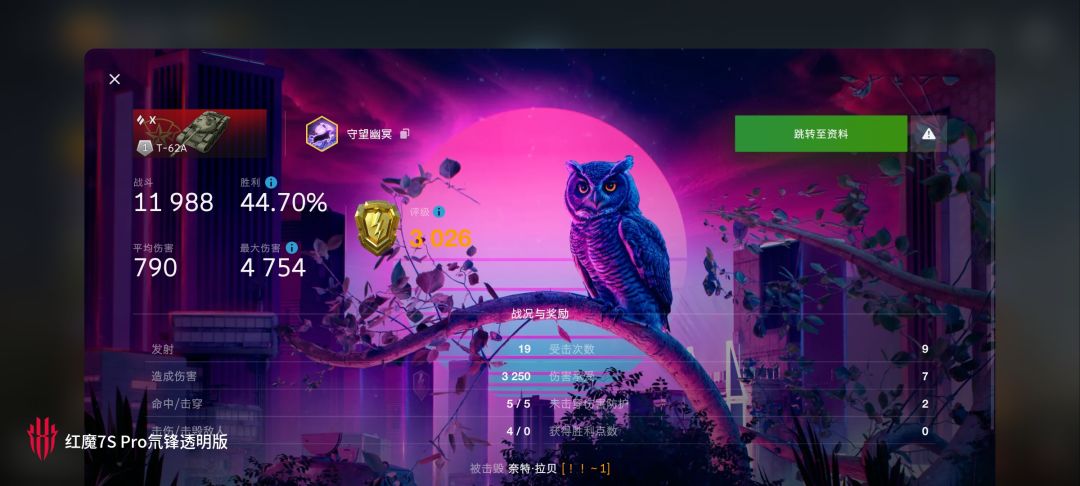 动态图片 10