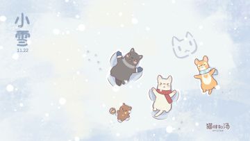 猫咪和汤 | 今日小雪时❄️