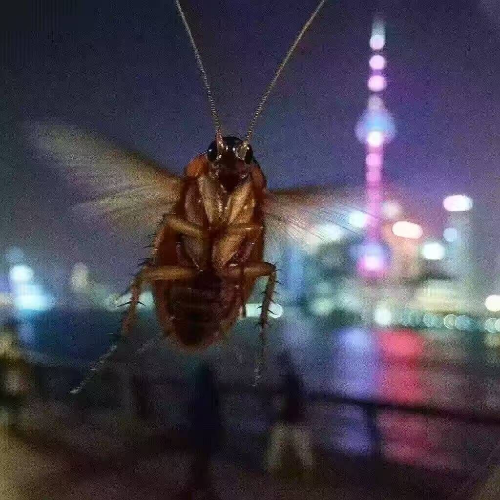 今天小萌新自强到了六层 1