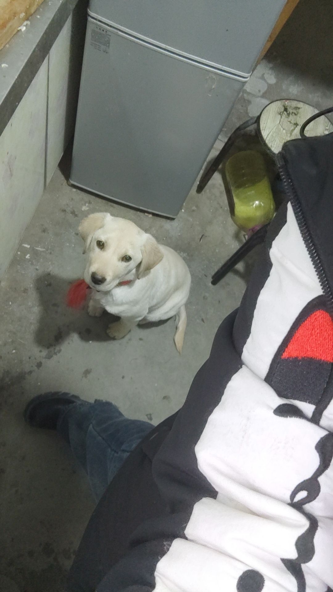动态图片 1