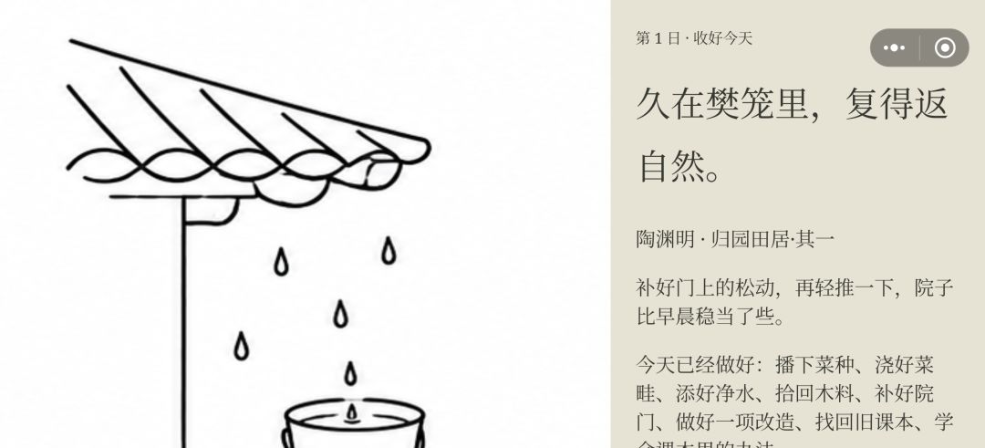 这个是手机端的bug吗 1