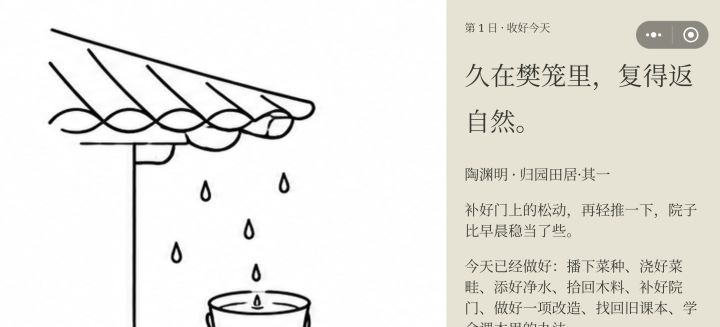 这个是手机端的bug吗截图