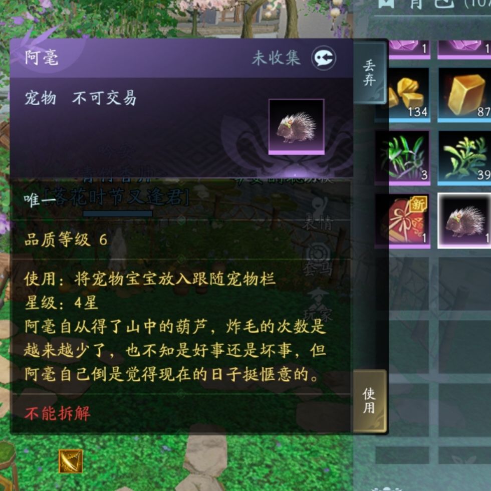 早起收获一只小豪猪 1