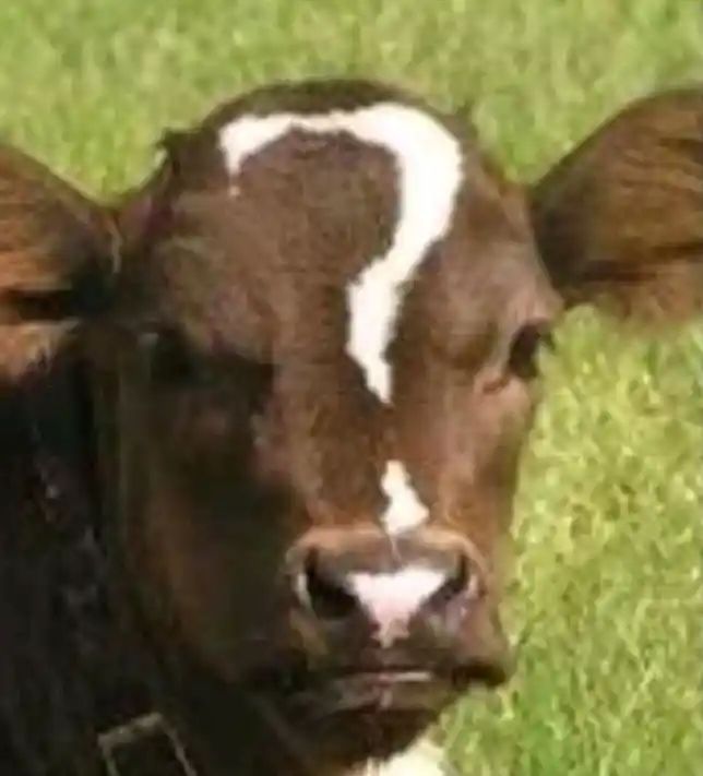救救孩子 1