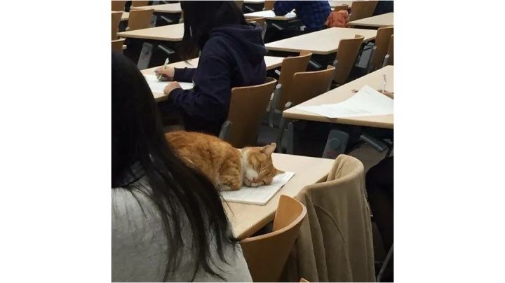 每日娱乐之反伤截图