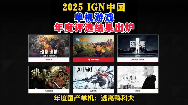 2025 IGN中国单机游戏年度评选结果出炉!截图