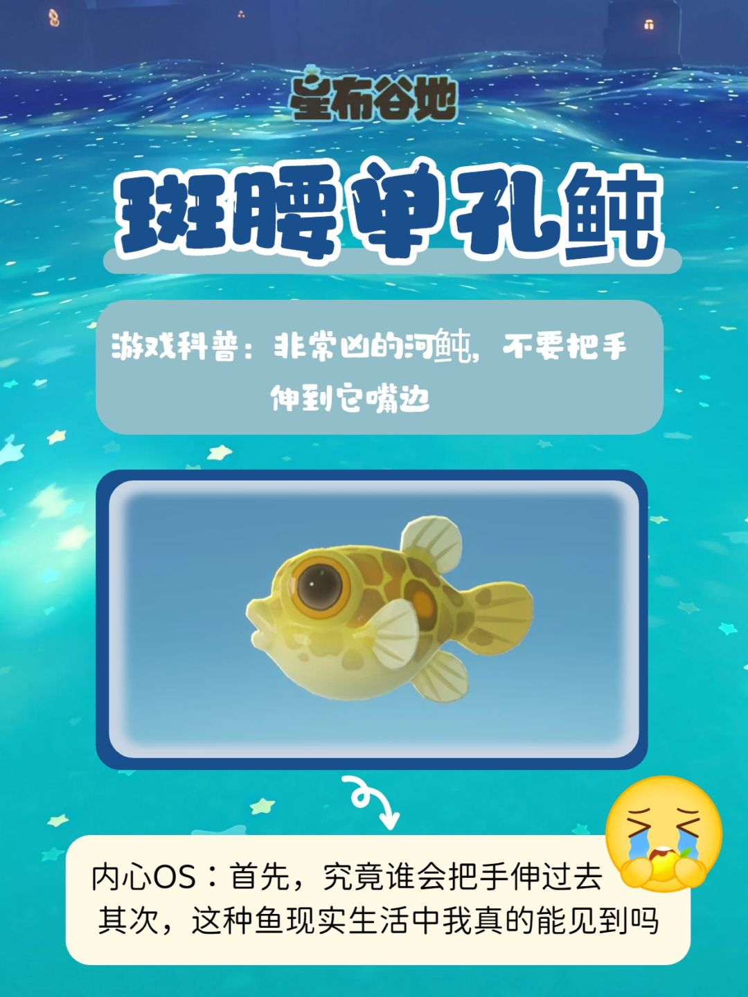 惊!小鱼也有秘密! 3