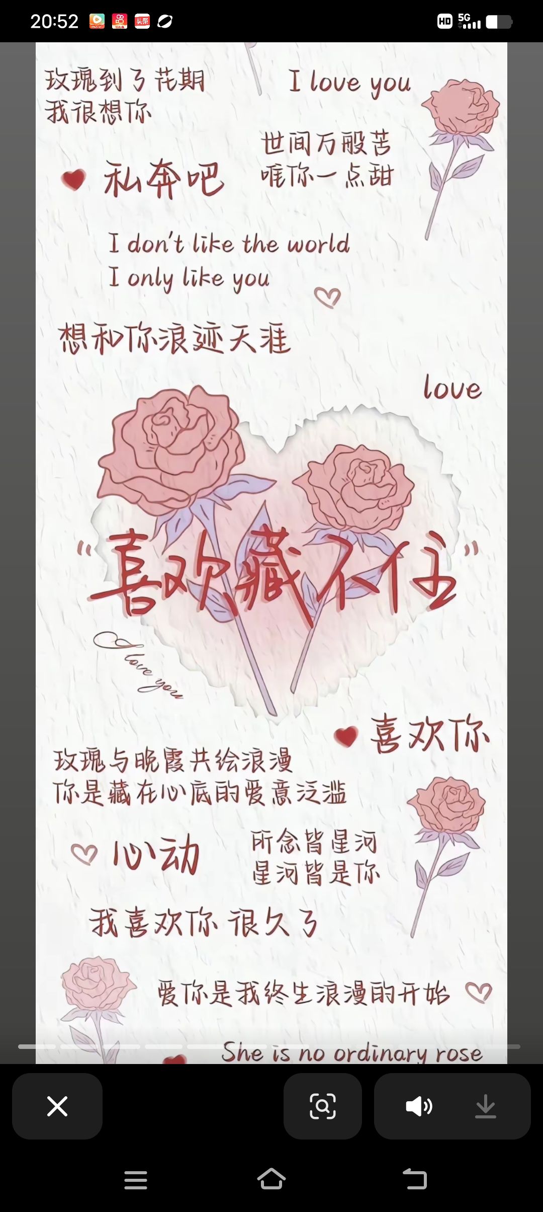 动态图片 16