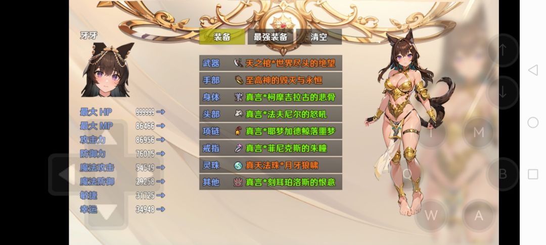 这是我目前的武器和装备和属性 3