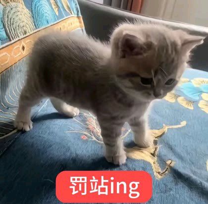 修仙 1