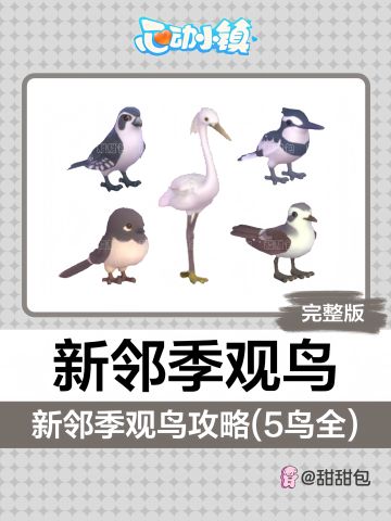 白腿小隼丨新邻季观鸟攻略完整版