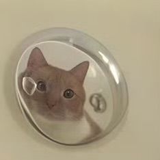 有没有大佬有这个赛季的手册精灵的 1