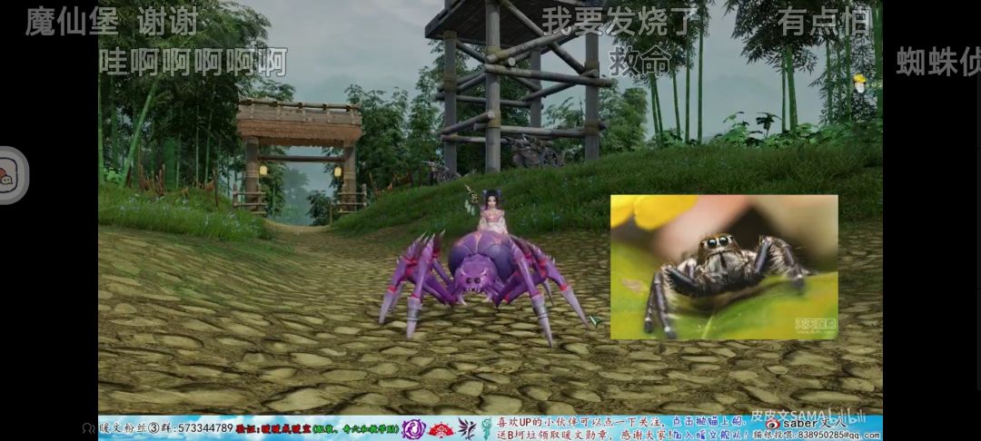 五毒没有五毒 1
