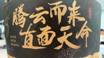 刷仙丹的奇莫将会无效，别在上面浪费时间了