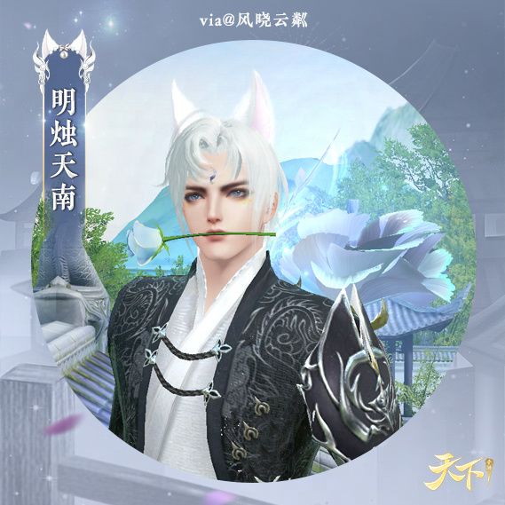 动态图片 6