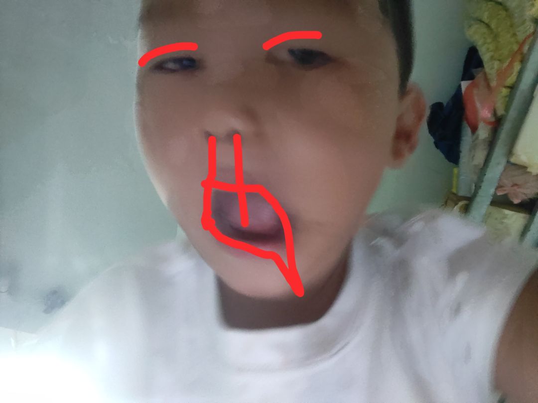 动态图片 3