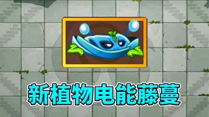 植物大战僵尸2：新植物电能藤蔓情报速递！截图