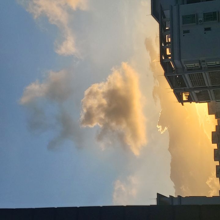 今天天气超好截图