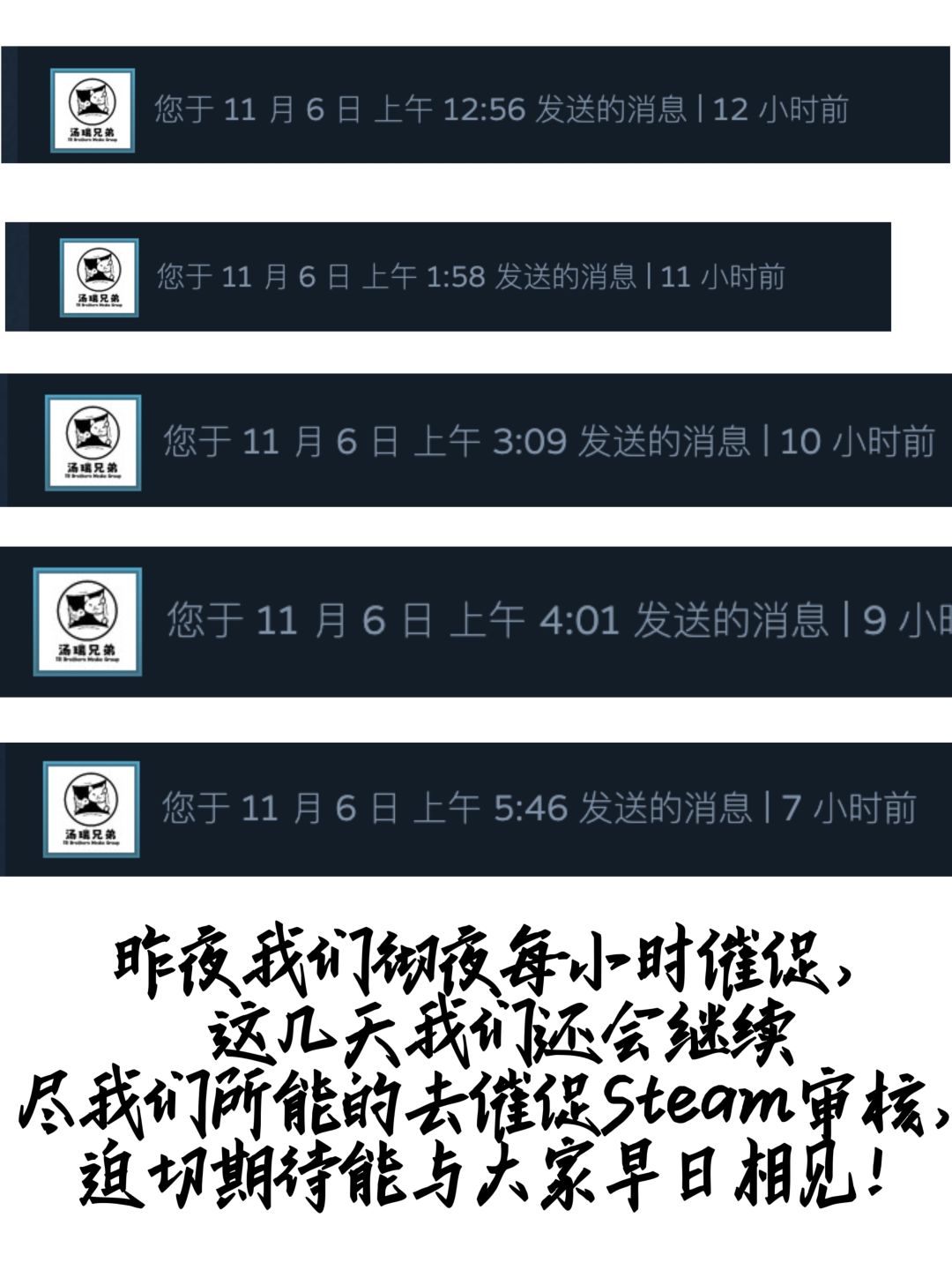 审核情况说明 2