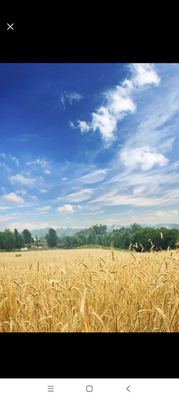 【势力攻略】新手玩家开局势力选择倾向介绍