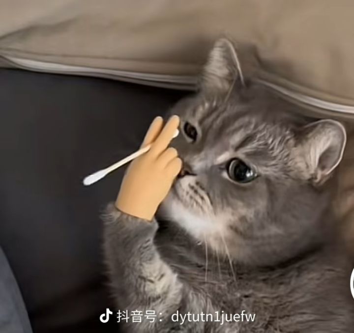蹲几个,晚上打游戏的小伙伴,九点以后在线截图