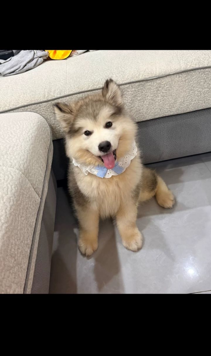 有没有什么好玩的游戏推一推截图