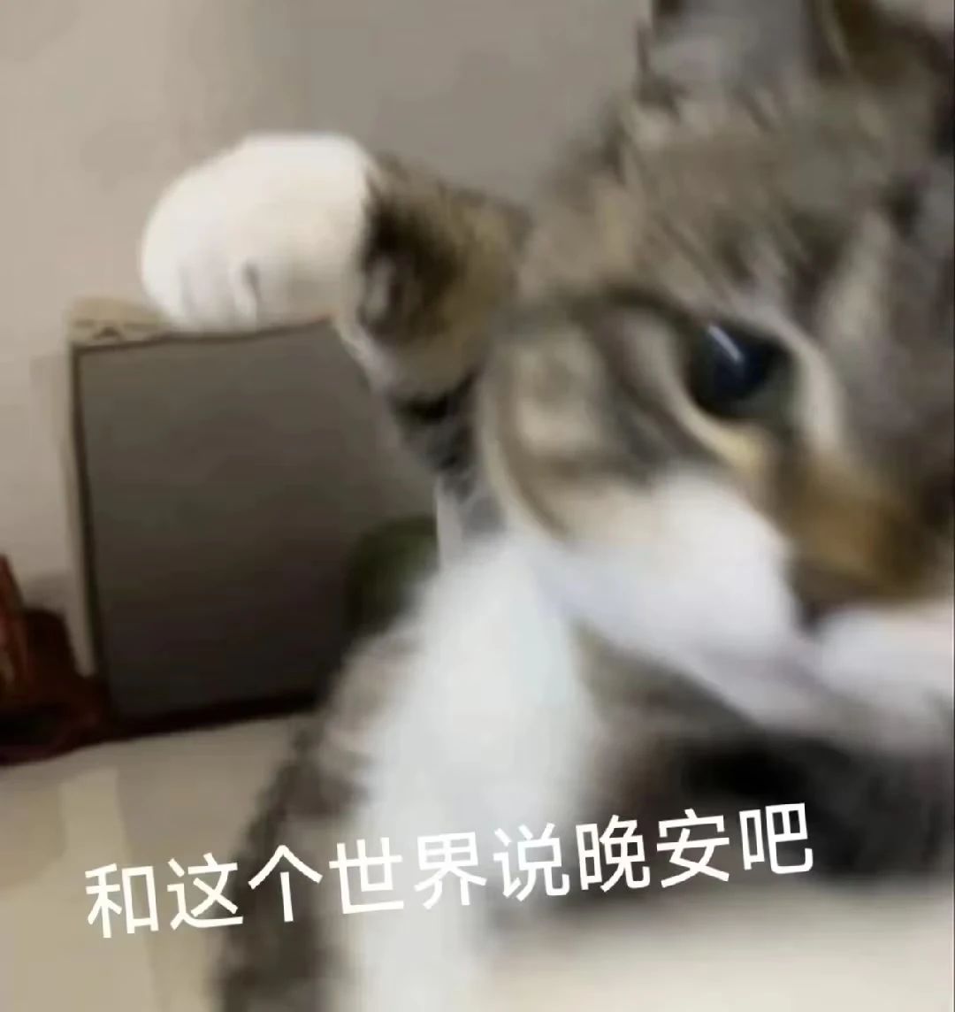 900级纪念 3