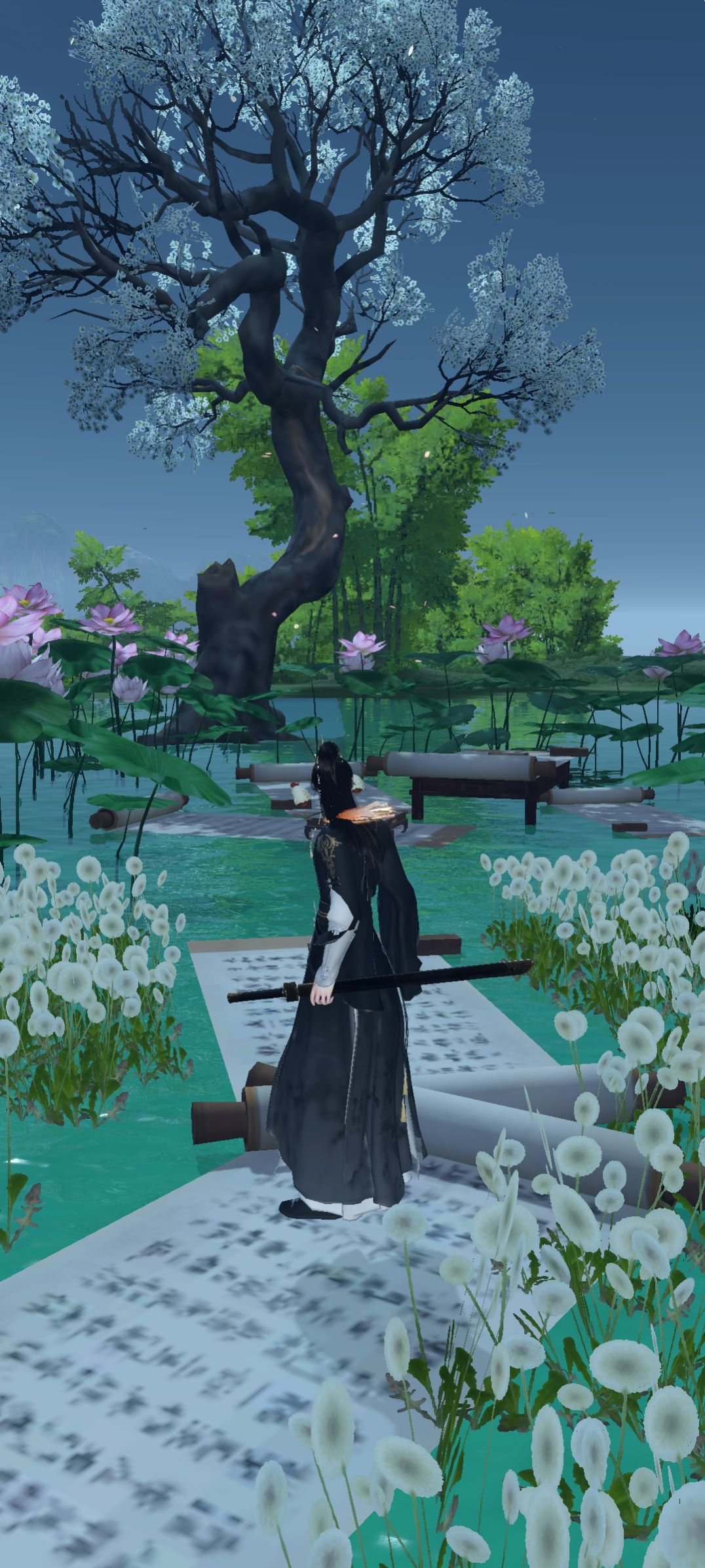 谁还没有莲花池呀? 3