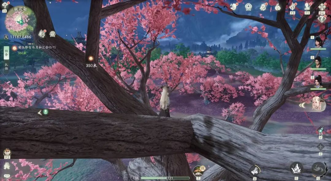 桃花圃好看是好看,晚上是真吓人 3