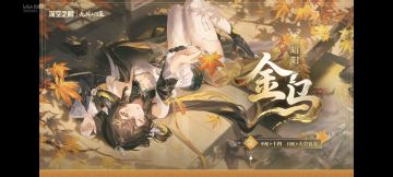 【留白】4周年总结如图