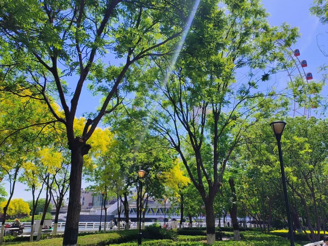立夏 2