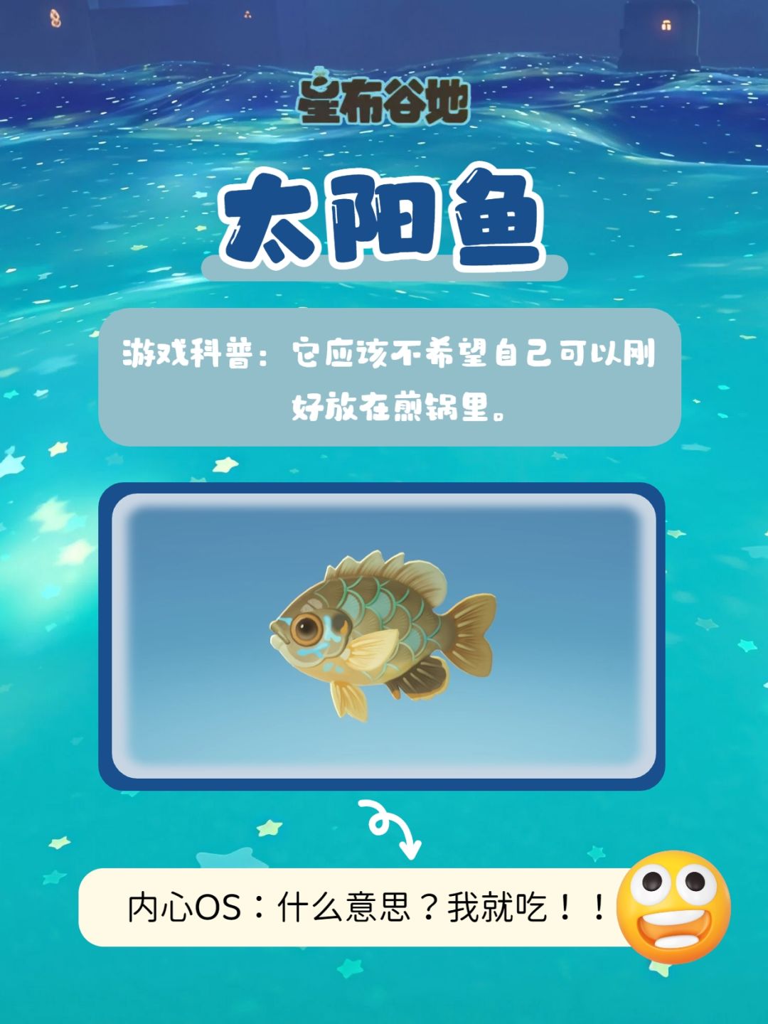 惊!小鱼也有秘密! 5
