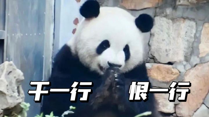 桃源再聚小组截图