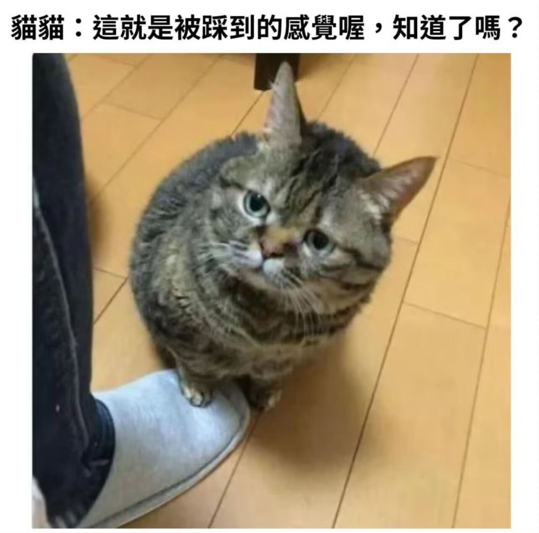 转盘没有幸存者偏差 3