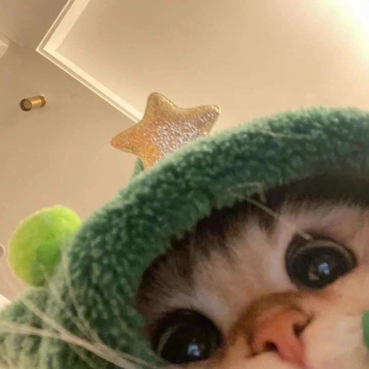无限期延期了吗?截图