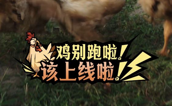 这次保真上线!截图