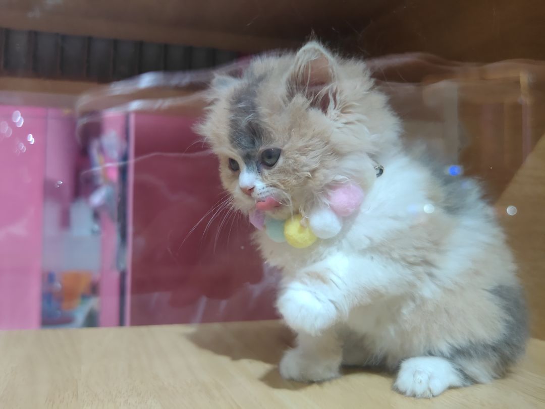 求助 1