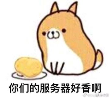 服务器维护（修好啦）