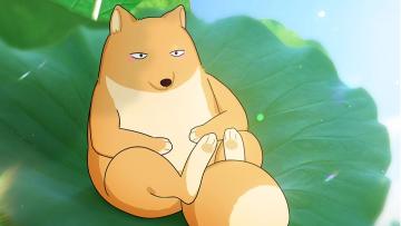 每个人都有专属的夏天