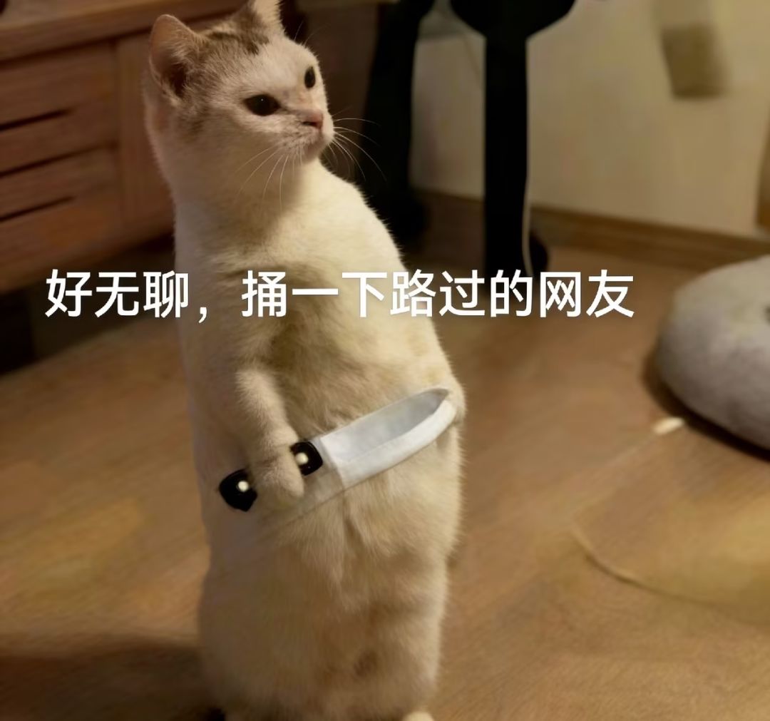 想要入坑的，看这里截图