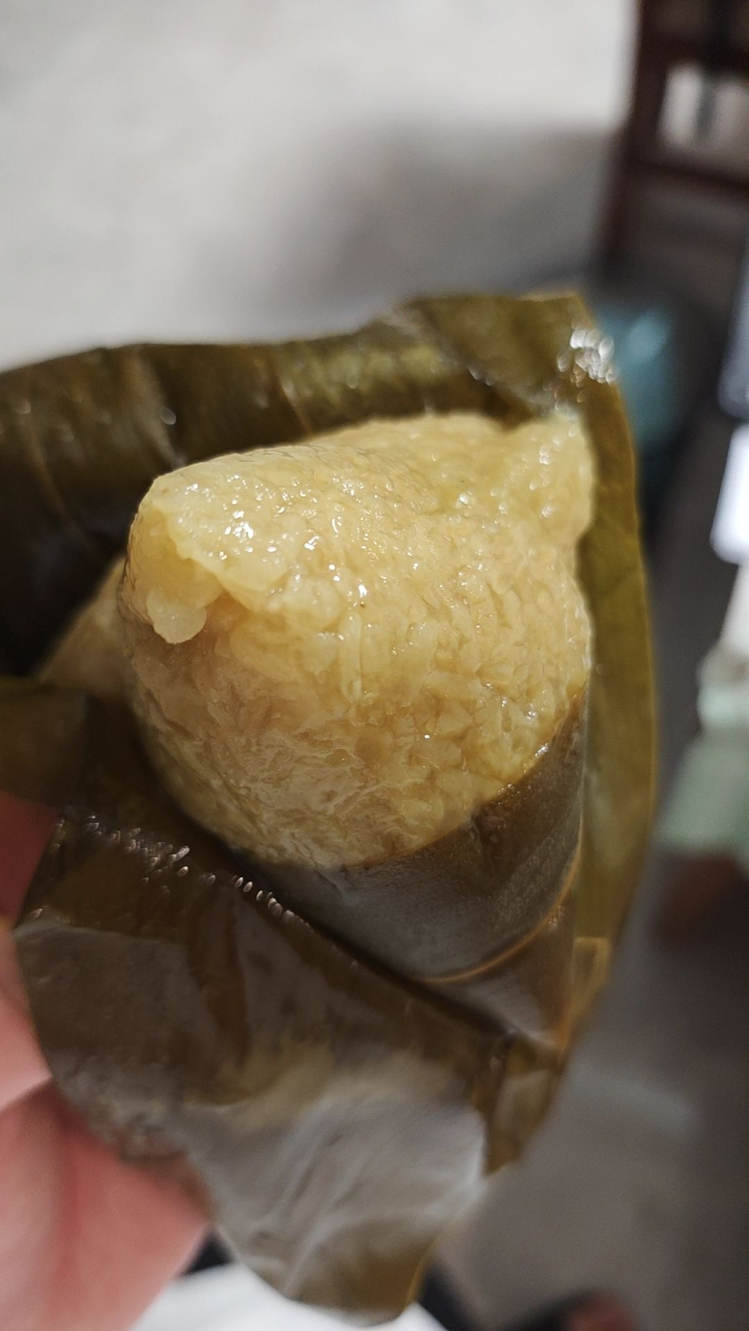 大道仙途晒粽子 1