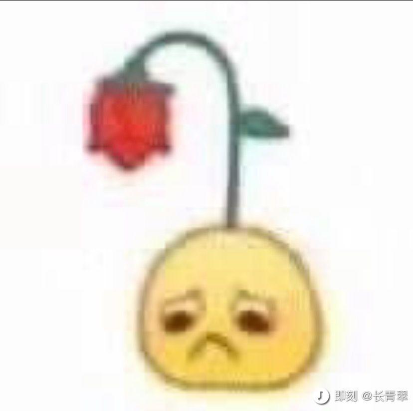 有群吗有群吗有群吗 1